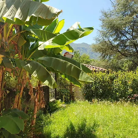 Apartment Casa Paradiso *